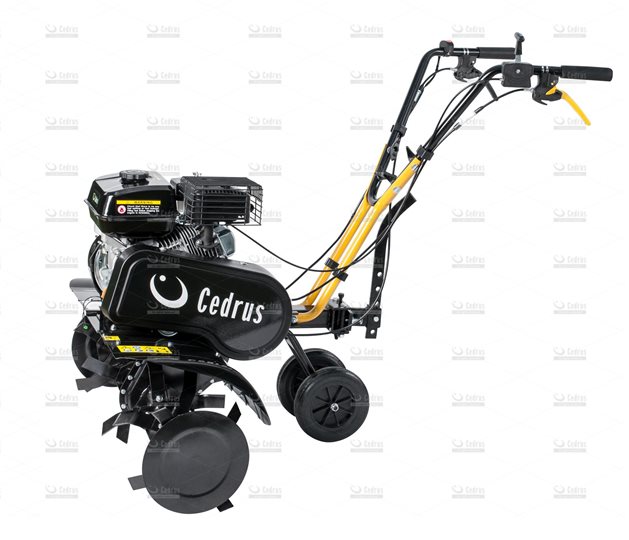 Glebogryzarka Spalinowa Cedrus 80 cm Loncin G200F