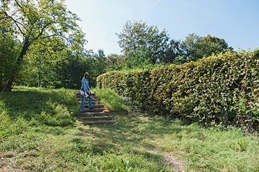 Kosa Elektryczna Stihl FSE 81 Moc 1000 W